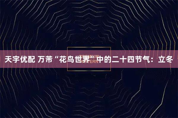 天宇优配 万芾“花鸟世界”中的二十四节气：立冬